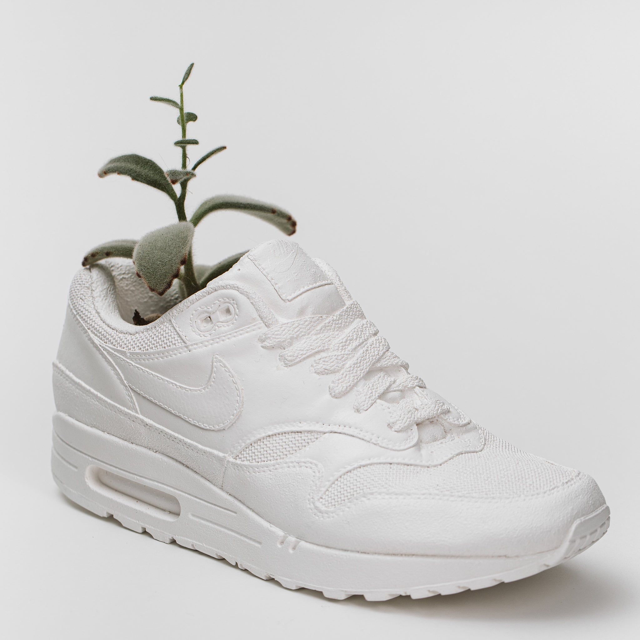 Gypsum stone casted nike air max sneaker planter with a succulent planted in it