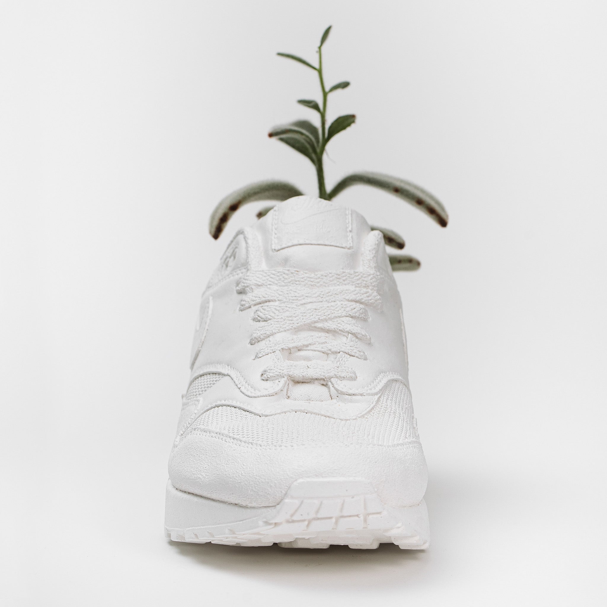 Front view of a nike air max concrete planter with a succulent planted in it