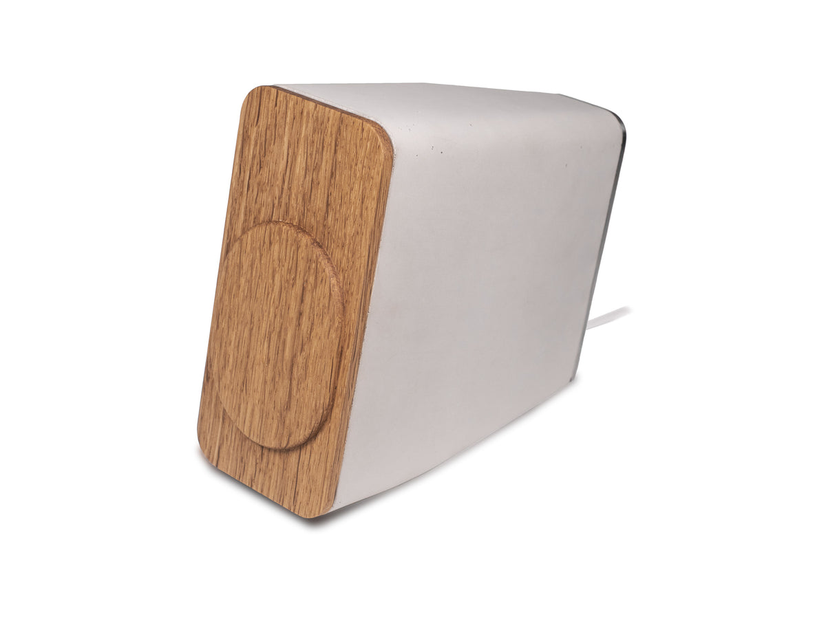 iPhone Dock