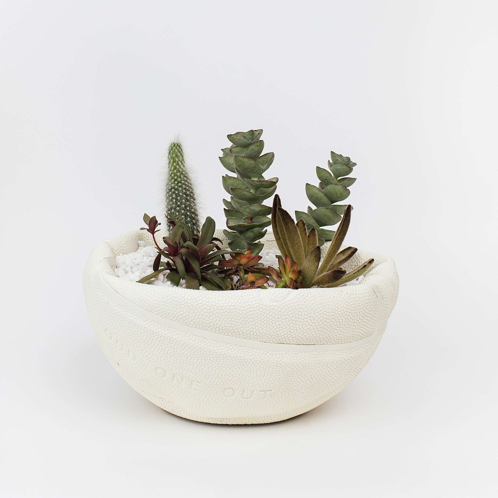 Basketball bowl stone planter with succulents and cactus